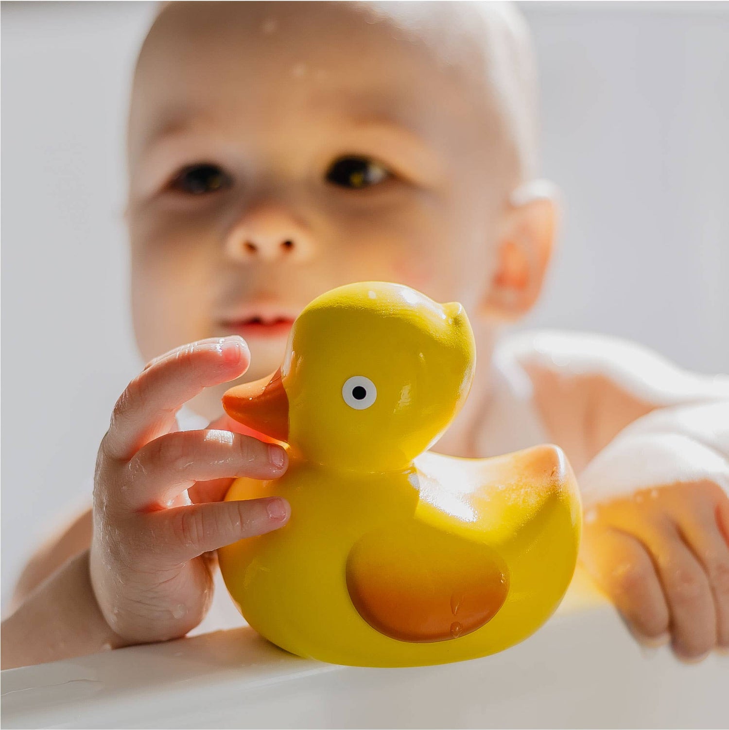 Product Highlights