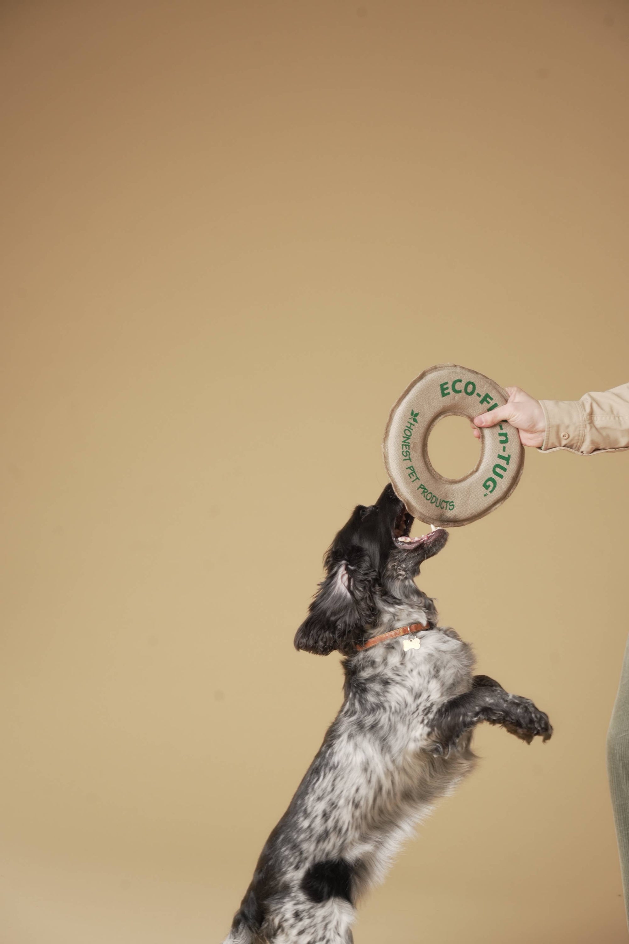 Handmade in USA, Floating Eco-Friendly Dog Frisbee & Tug Toy