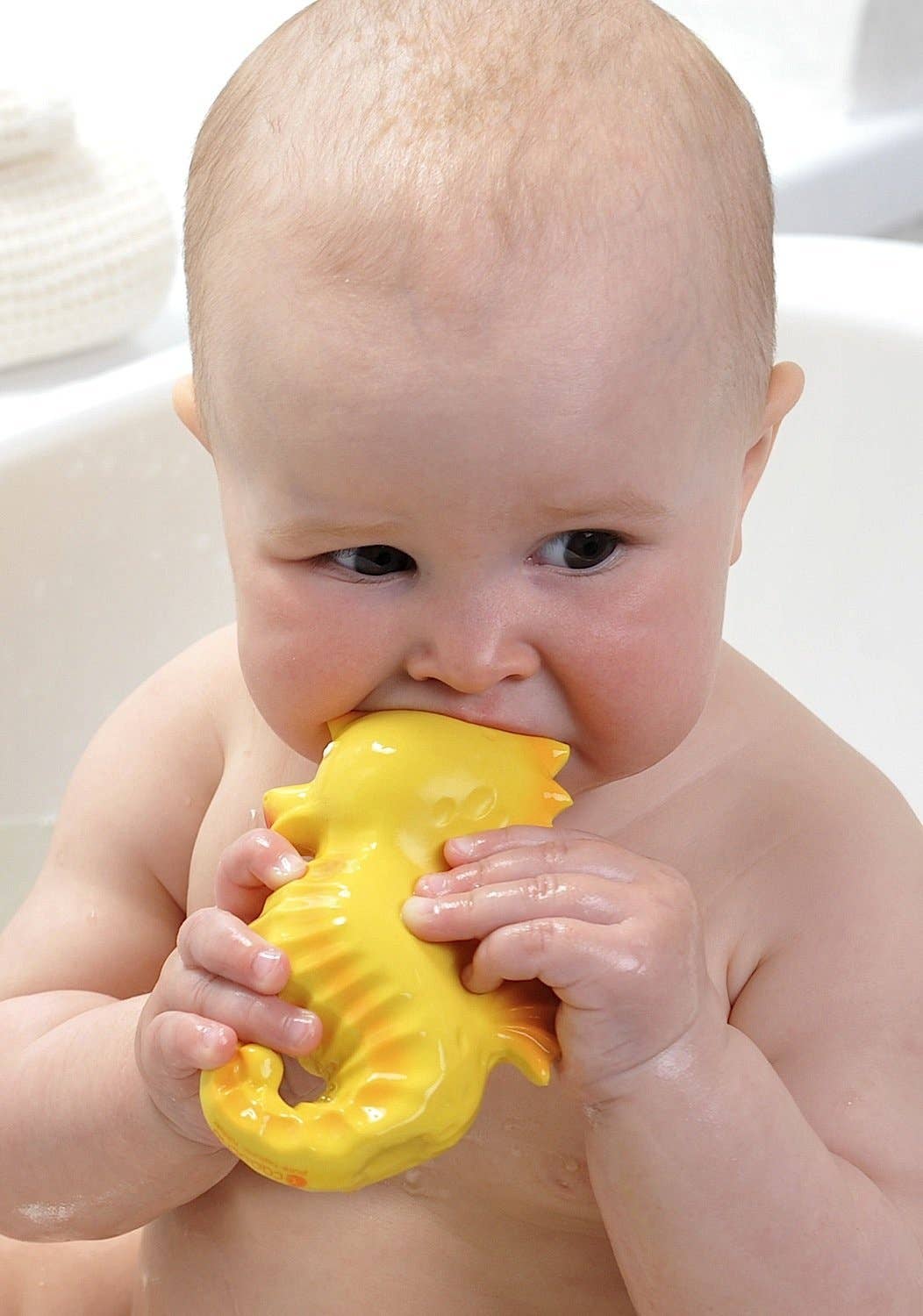 CaaOcho Bath Toy Hole Free - 100% Pure Natural Rubber
