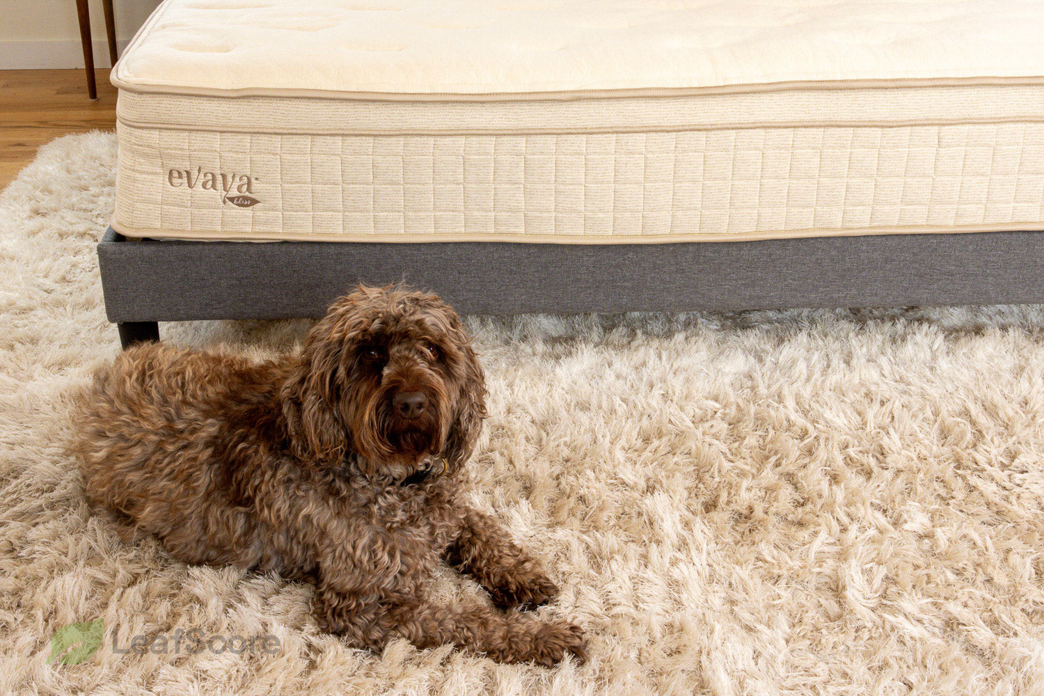 Evaya Bliss Organic Mattress