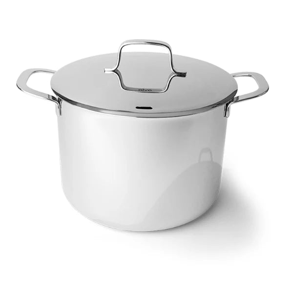 Alva Maestro Stainless Stock Pot with Lid