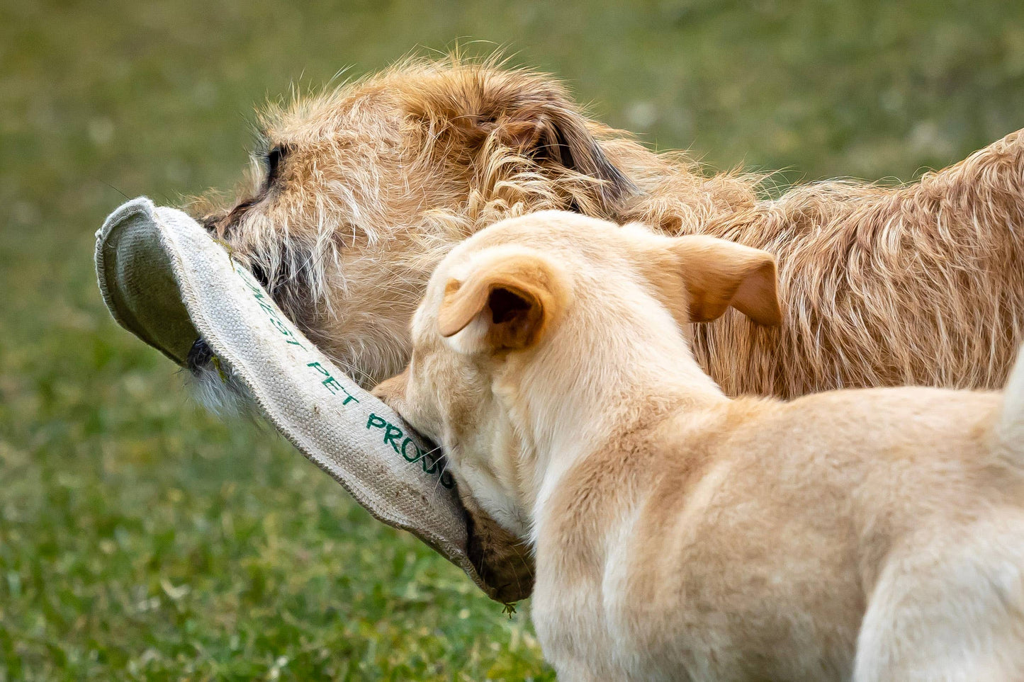 Honest Pet Products Handmade in USA, Floating Eco-Friendly Dog Frisbee & Tug Toy — view 4
