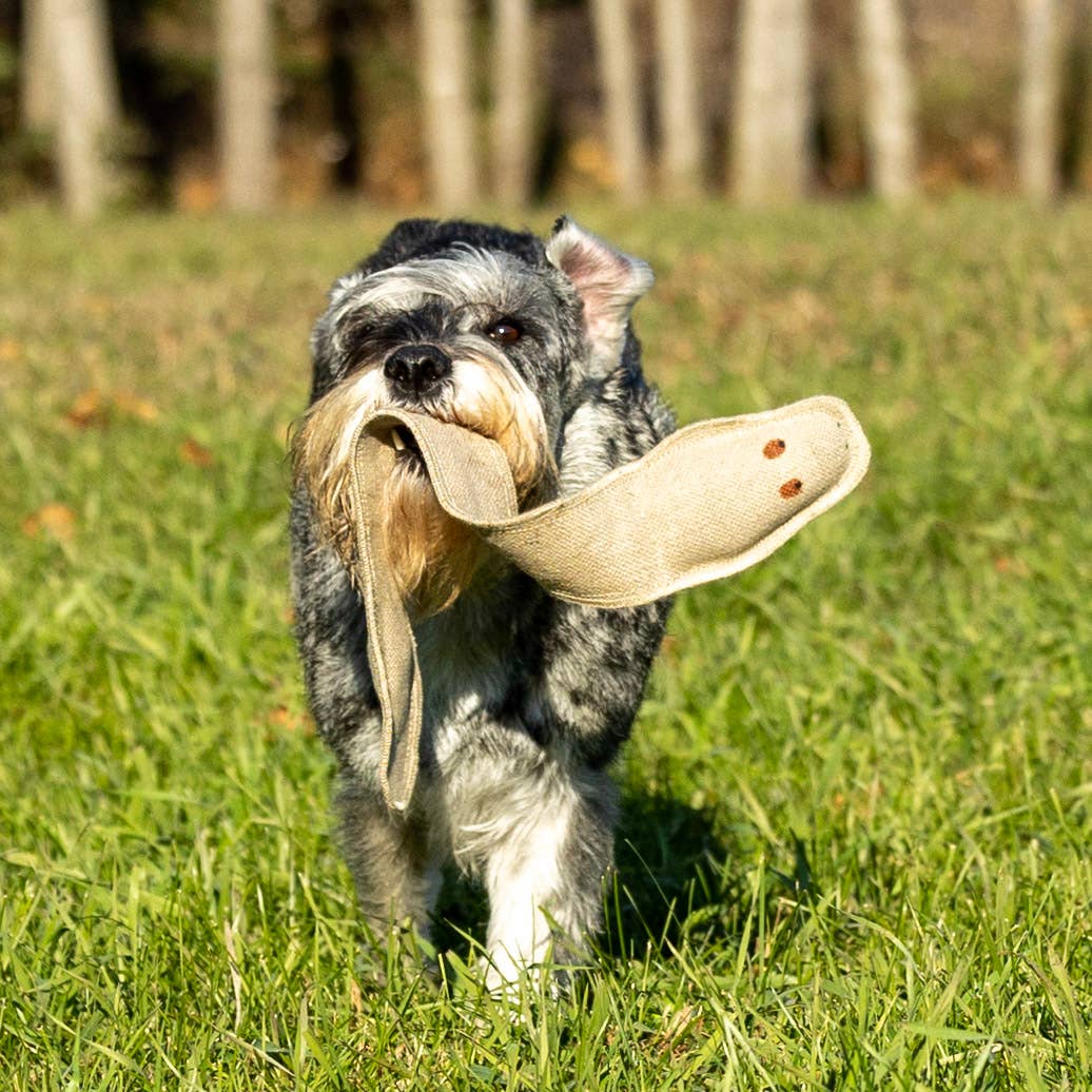 Handmade in USA Dog Tug Toy - Eco-Friendly Snake Dog Toy