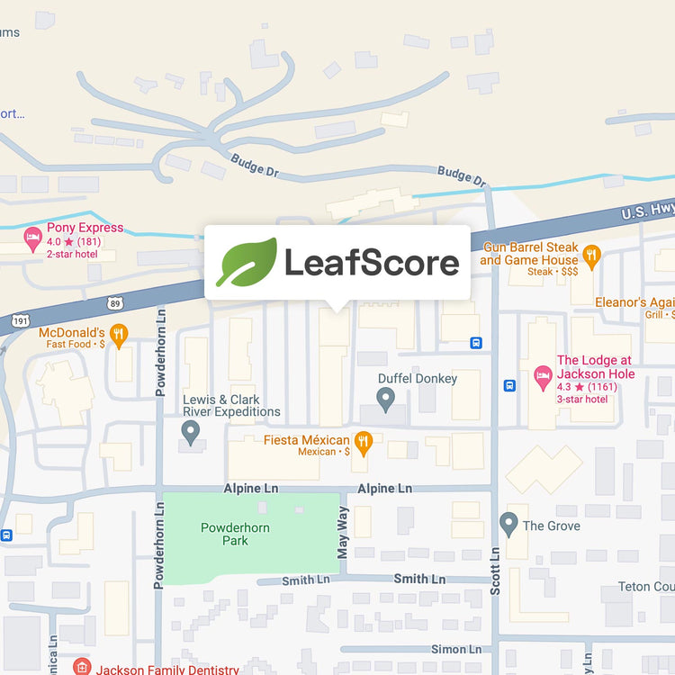 Contact LeafScore Essentials